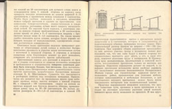 ПЛАНТАЦИЯ ЖЕНЬШЕНЯ